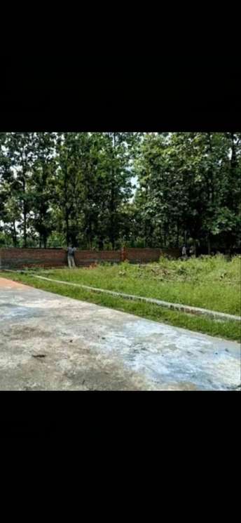 Plot For Resale in Shahpur Dehradun  7376926