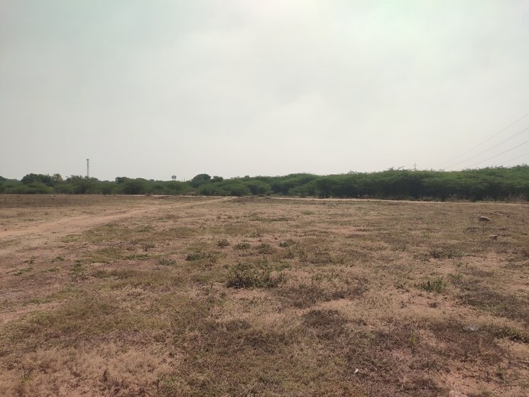 undefined, veltur  202 Sq.Yd. Plot In Veltur Sadashivpet 7376951