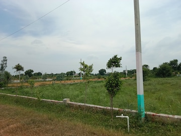 Plot Area in  Plot at Tappal – for Sale