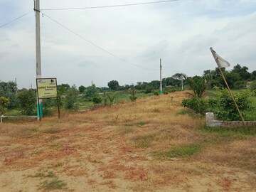 Plot Area in  Plot at Tappal – for Sale