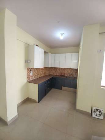 2 BHK Apartment For Rent in Ninex RMG Residency Sector 37c Gurgaon  7377065