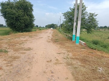 Plot Area in  Plot at Tappal – for Sale