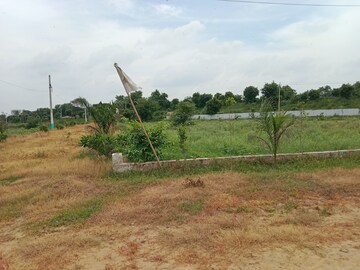 Plot Area in  Plot at Tappal – for Sale