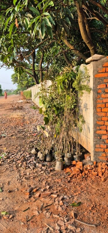 Plot Area in  Plot at Unitech Unihomes 3, Sector 113 – for Sale
