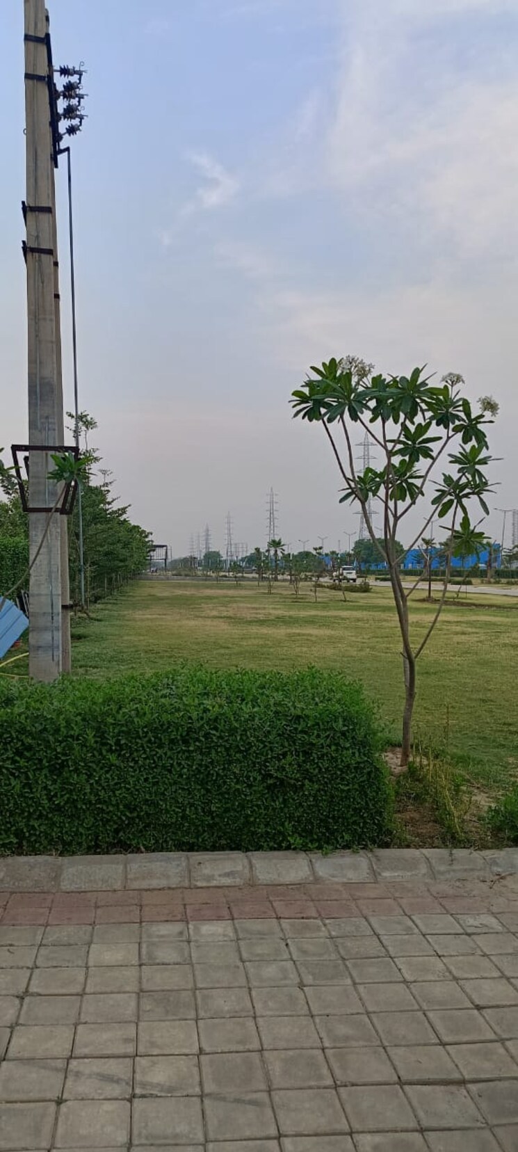 Garden, auric-universal-square Commercial Shop 650 Sq.Ft. In Sector 79 Faridabad 7378064