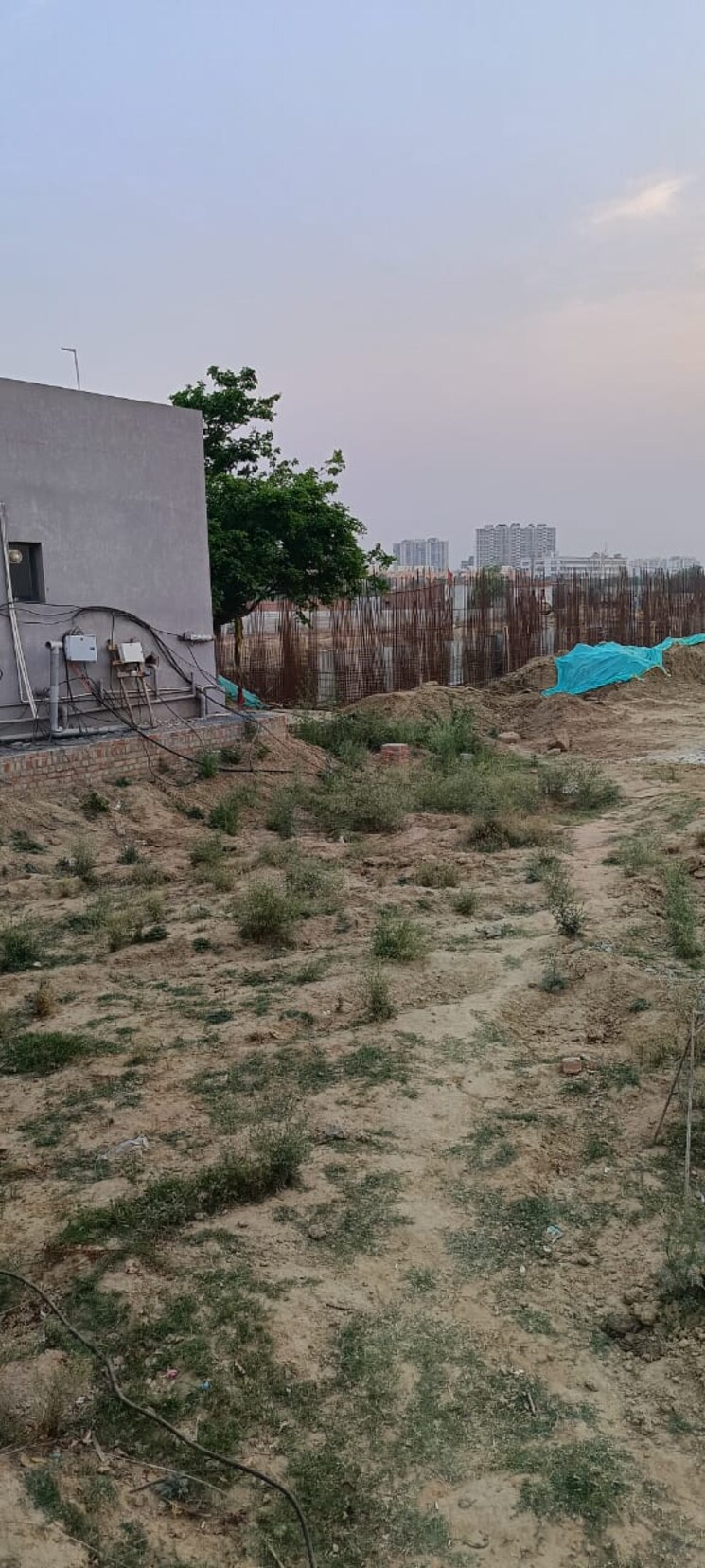 Floor Plan, auric-universal-square Commercial Shop 650 Sq.Ft. In Sector 79 Faridabad 7378064