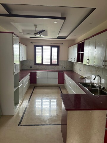 Kitchen in 3 BHK Builder Floor at Sector 21c – for Sale