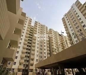 2 BHK Apartment For Rent in Tulip Lemon Sector 69 Gurgaon  7378622