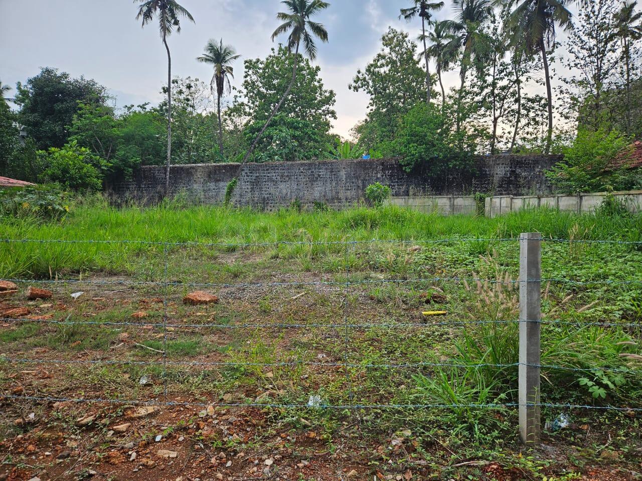 Plot For Resale in Chembukkav Thrissur  7378854