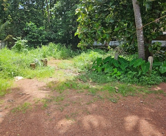 Plot For Resale in Mundoor Thrissur  7378939