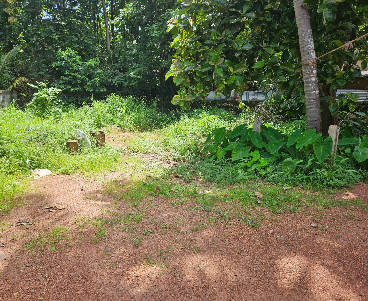 Plot For Resale in Mundoor Thrissur  7378939