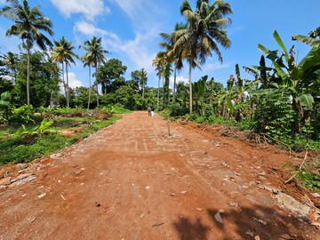 Plot Area in  Plot at Kalathode – for Sale