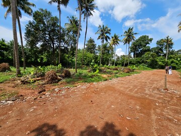  Plot For Sale in Kalathode