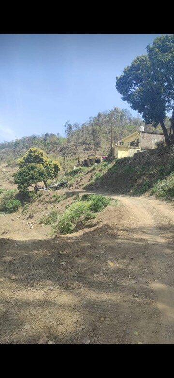 Plot Area in  Plot at Raipur Road – for Sale