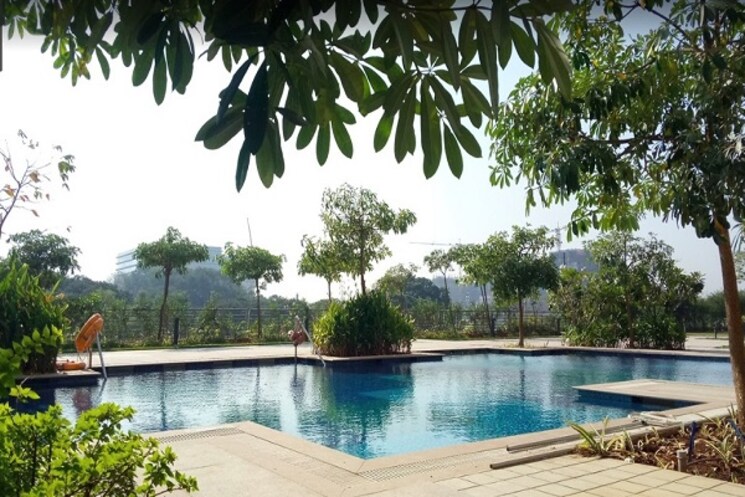 Swimming Pool, the-wadhwa-the-address 4 Bedroom 1300 Sq.Ft. Apartment In Ghatkopar West Mumbai 7379315