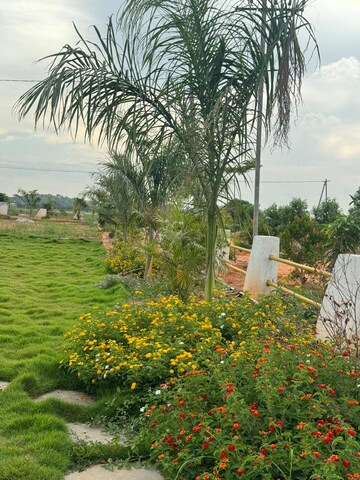  Plot – Garden View at Yuva Park, Shadnagar - for Sale