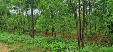  Plot – Exterior View View at Keesara - for Sale