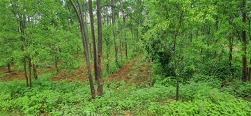  Plot For Sale in Keesara