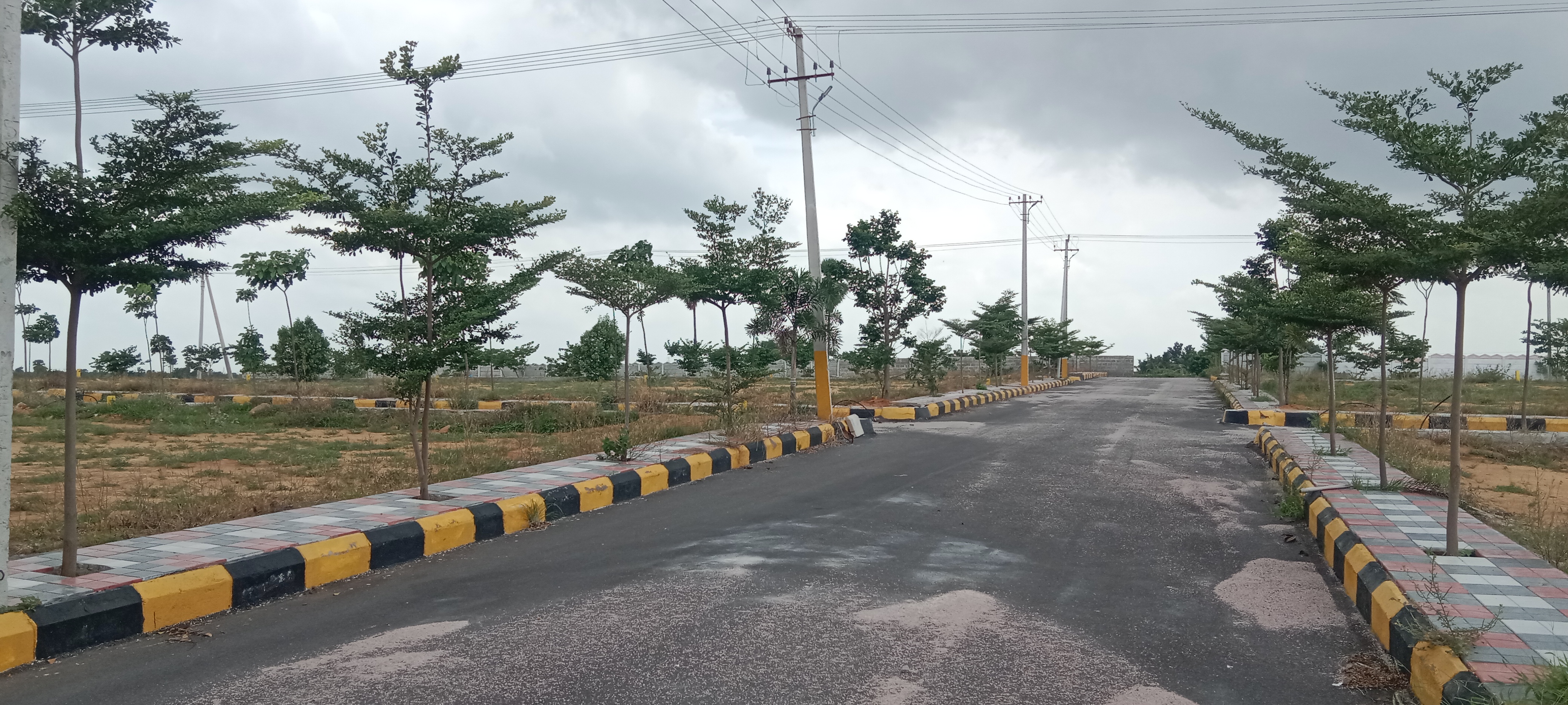 Plot For Resale in Mehdipatnam Hyderabad  7380031