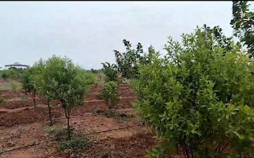 Plot For Sale in Nagaram