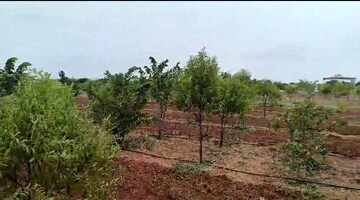 Plot For Resale in Yapral Hyderabad  7380263