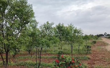 Plot For Sale in Suchitra