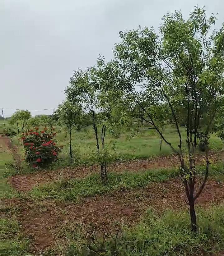 Plot For Resale in Uppal Hyderabad  7380365