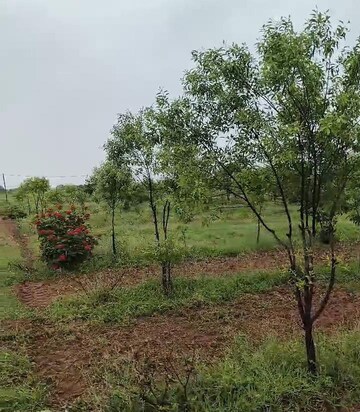  Plot For Sale in Uppal