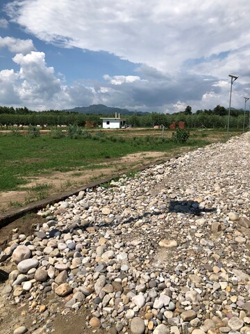 Plot Area in  Plot at Saharanpur Road – for Sale