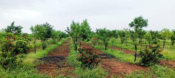  Plot – Garden View at Peerzadiguda - for Sale