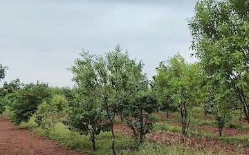 Plot For Sale in Medipalli