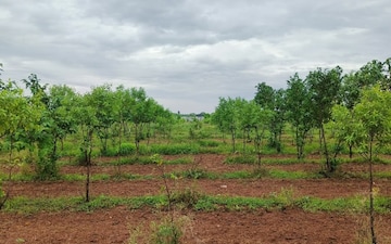 Plot For Sale in Amberpet