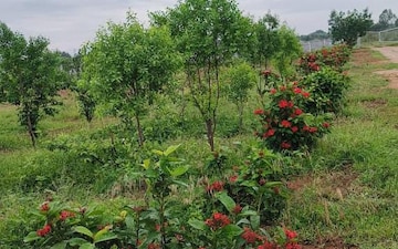 Plot For Sale in Sitaphalmandi