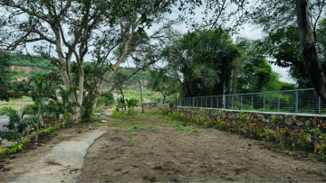  Plot For Sale in Titardi