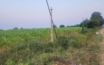 Land For Sale in Shilaj