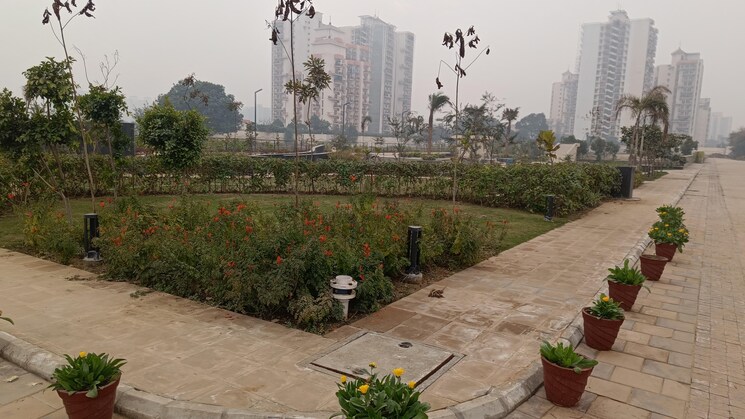 Garden, prominent-swastik-greens  162 Sq.Yd. Plot In Manesar Sector 9 Gurgaon 7381802