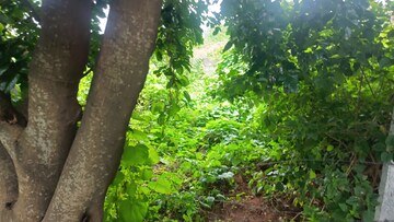  Plot – Garden View at Sampangi Rama Nagar - for Sale