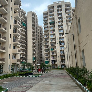 2 BHK Apartment For Resale in Signature Orchard Avenue 2 Hayatpur Gurgaon  7382038