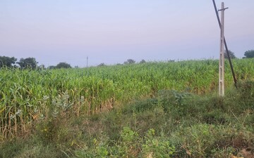 Plot For Sale in Kadi