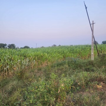  Plot For Sale in Ambawadi