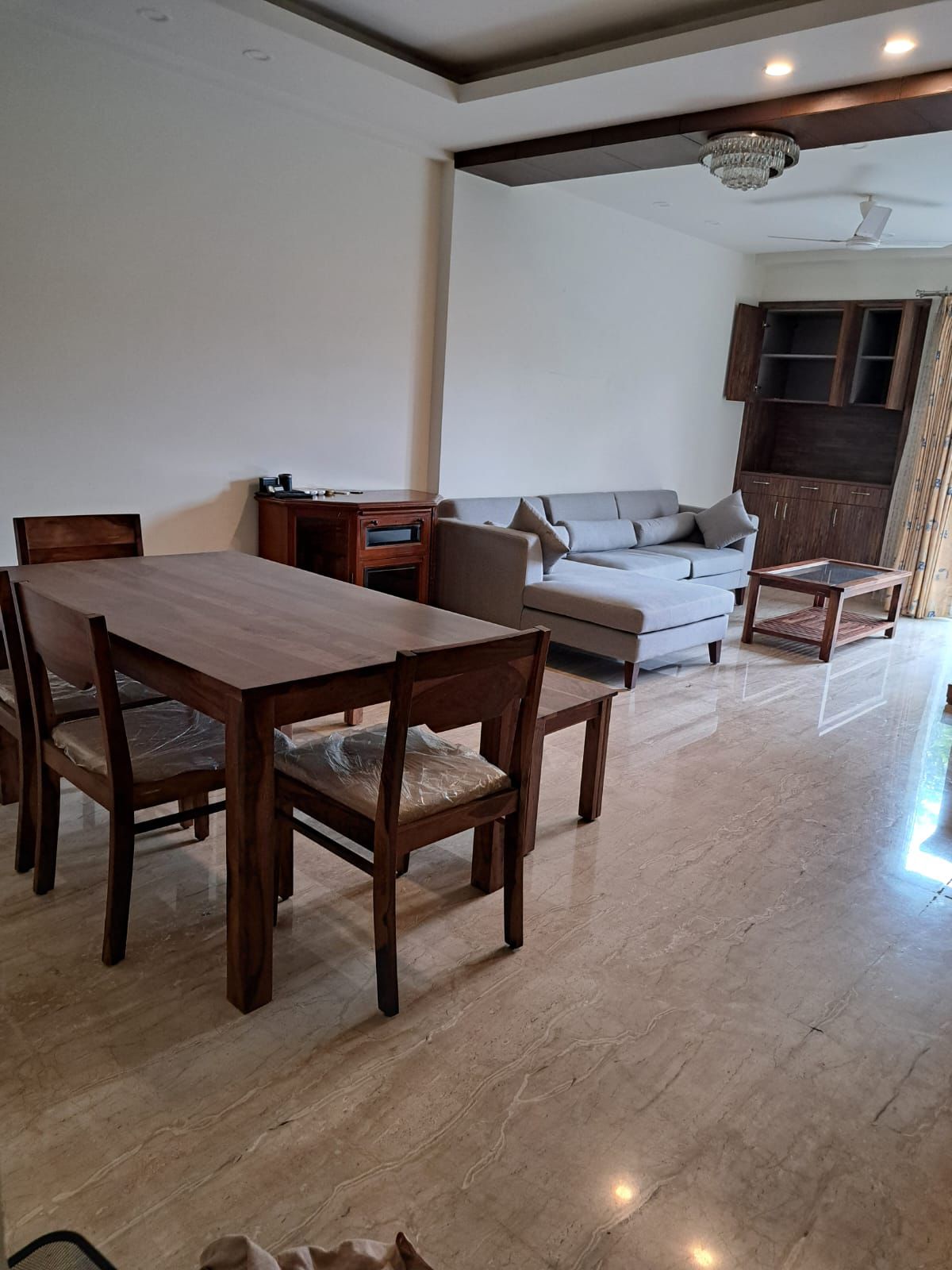 3 BHK Builder Floor For Rent in Safdarjang Enclave Delhi  7382155