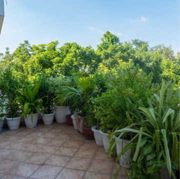 3.5 BHK Apartment – Garden View at ATS Homekraft Pious Orchards, Sector 150 - for Sale