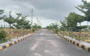 Plot For Sale in Nagireddiguda