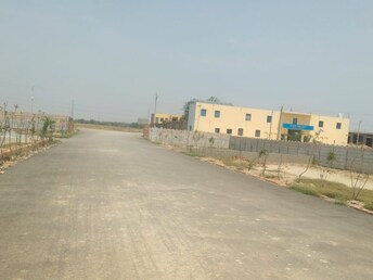 Plot For Resale in Jewar Greater Noida  7382712