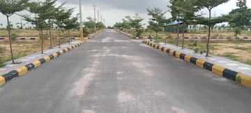 Plot For Resale in Nagsanpally Hyderabad  7382734