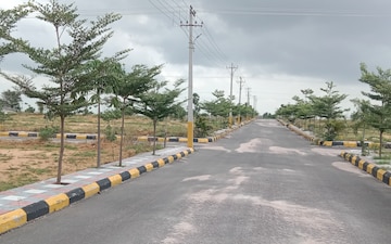 Plot For Sale in Nagwar