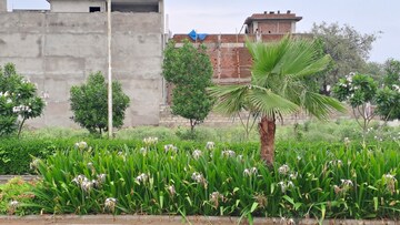  Plot – Garden View at Mahindra World City Jaipur, Kalwara - for Sale