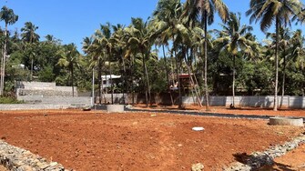 Plot For Resale in Muthuvara Thrissur  7383474