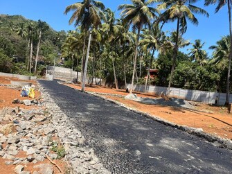 Plot For Resale in Muthuvara Thrissur  7383474