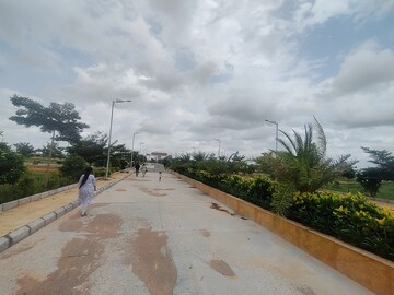 Plot Area in  Plot at Amangal – for Sale
